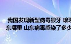  我国发现新型病毒狼牙 琅琊病毒是谁命名的 狼牙病毒在山东哪里 山东病毒感染了多少人