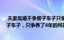  夫妻离婚不争房子车子只争柯基犬：80后夫妻离婚不争房子车子，只争养了4年的柯基犬，法官是这么说的