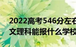 2022高考546分左右能上哪些大学（新高考文理科能报什么学校）