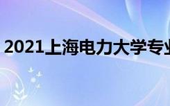 2021上海电力大学专业排名 哪些专业比较好