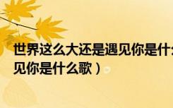 世界这么大还是遇见你是什么歌的歌词（世界这么大还是遇见你是什么歌）