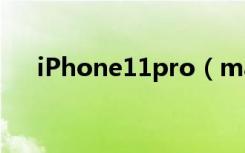 iPhone11pro（max怎么隐藏小白点）