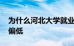 为什么河北大学就业率较高 但毕业生满意度偏低