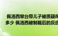  佩洛西窜台带儿子被质疑徇私捞钱 佩洛西被冻结的资产有多少 佩洛西被制裁后的反应如何