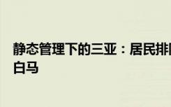 静态管理下的三亚：居民排队迎援琼医护，街道车流稀少现白马