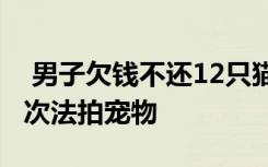  男子欠钱不还12只猫被法拍抵债:网拍方：首次法拍宠物