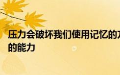 压力会破坏我们使用记忆的方式 从而阻碍我们进行提前计划的能力