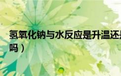 氢氧化钠与水反应是升温还是降温（氢氧化钠与水反应放热吗）