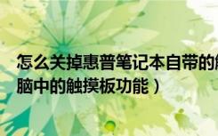 怎么关掉惠普笔记本自带的触摸板（如何禁用惠普笔记本电脑中的触摸板功能）