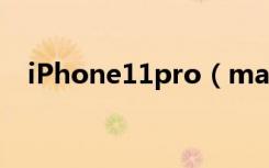 iPhone11pro（max怎么设置呼叫转移）