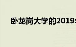 卧龙岗大学的2019年大创意节又回来了