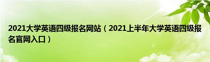 2021大学英语四级报名网站(2021上半年大学英语四级报名官网入口)