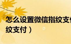 怎么设置微信指纹支付优先（怎么设置微信指纹支付）