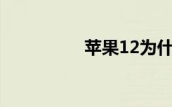 苹果12为什么不显示5g