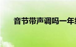 音节带声调吗一年级（音节带声调吗）