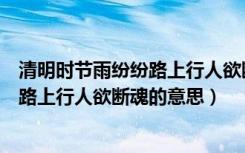 清明时节雨纷纷路上行人欲断魂的意思是（清明时节雨纷纷路上行人欲断魂的意思）