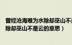 曾经沧海难为水除却巫山不是云的反意诗（曾经沧海难为水除却巫山不是云的意思）