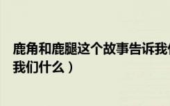 鹿角和鹿腿这个故事告诉我什么（鹿角和鹿腿这个故事告诉我们什么）