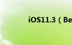 iOS11.3（Beta2如何升级）