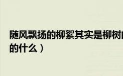 随风飘扬的柳絮其实是柳树的什么（随风飘扬的柳絮是柳树的什么）