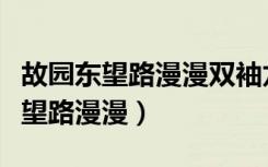 故园东望路漫漫双袖龙钟泪不干翻译（故园东望路漫漫）