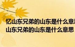 忆山东兄弟的山东是什么意思异乡指的是什么（九月九日忆山东兄弟的山东是什么意思）