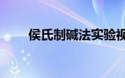 侯氏制碱法实验视频（侯氏制碱法）