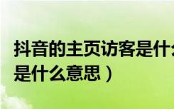 抖音的主页访客是什么意思（抖音的主页访客是什么意思）