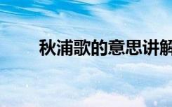 秋浦歌的意思讲解（秋浦歌的意思）