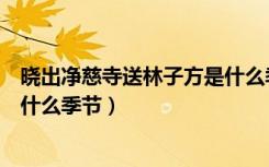 晓出净慈寺送林子方是什么季节诗（晓出净慈寺送林子方是什么季节）