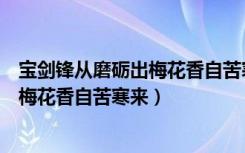 宝剑锋从磨砺出梅花香自苦寒来作文题目（宝剑锋从磨砺出梅花香自苦寒来）