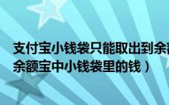 支付宝小钱袋只能取出到余额宝吗（手机端支付宝如何取出余额宝中小钱袋里的钱）