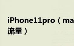 iPhone11pro（max怎么禁止应用使用数据流量）