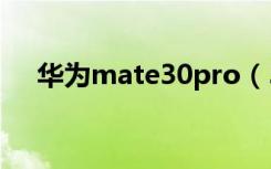 华为mate30pro（5G版有仿真键盘吗）