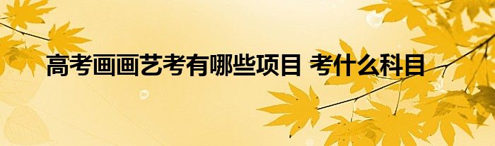 美術藝考包括專業考試和文化課考試,需兩者都通過一定分數線才會被