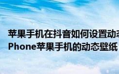 苹果手机在抖音如何设置动态壁纸（怎么将抖音视频设置为iPhone苹果手机的动态壁纸）