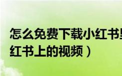 怎么免费下载小红书里面的视频（怎么下载小红书上的视频）