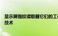 显示屏指纹读取器它们的工作方式以及光学与超声波背后的技术