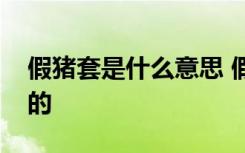 假猪套是什么意思 假猪套的梗是从哪里出来的 