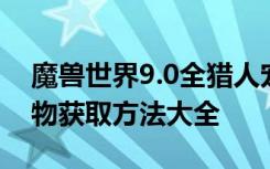 魔兽世界9.0全猎人宠物刷新地点 9.0猎人宠物获取方法大全