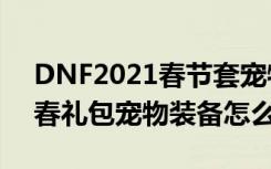 DNF2021春节套宠物装备属性一览 DNF新春礼包宠物装备怎么样