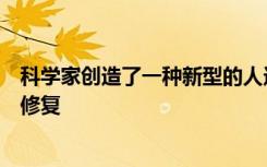 科学家创造了一种新型的人造肉可以像真实的东西一样自我修复