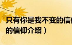 只有你是我不变的信仰（关于只有你是我不变的信仰介绍）