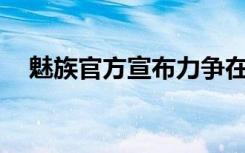 魅族官方宣布力争在4月推出魅族17新品