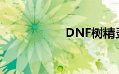 DNF树精灵宠物介绍