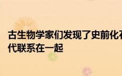 古生物学家们发现了史前化石 这些化石将大企鹅与其现代后代联系在一起