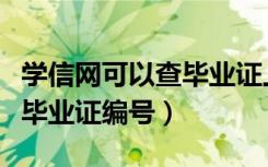 学信网可以查毕业证上的编号（学信网怎么查毕业证编号）