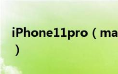 iPhone11pro（max怎么关闭屏幕自动旋转）