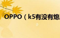 OPPO（k5有没有熄屏语音唤醒语音助手）