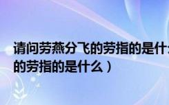 请问劳燕分飞的劳指的是什么（小鸡宝宝考考你劳燕分飞中的劳指的是什么）